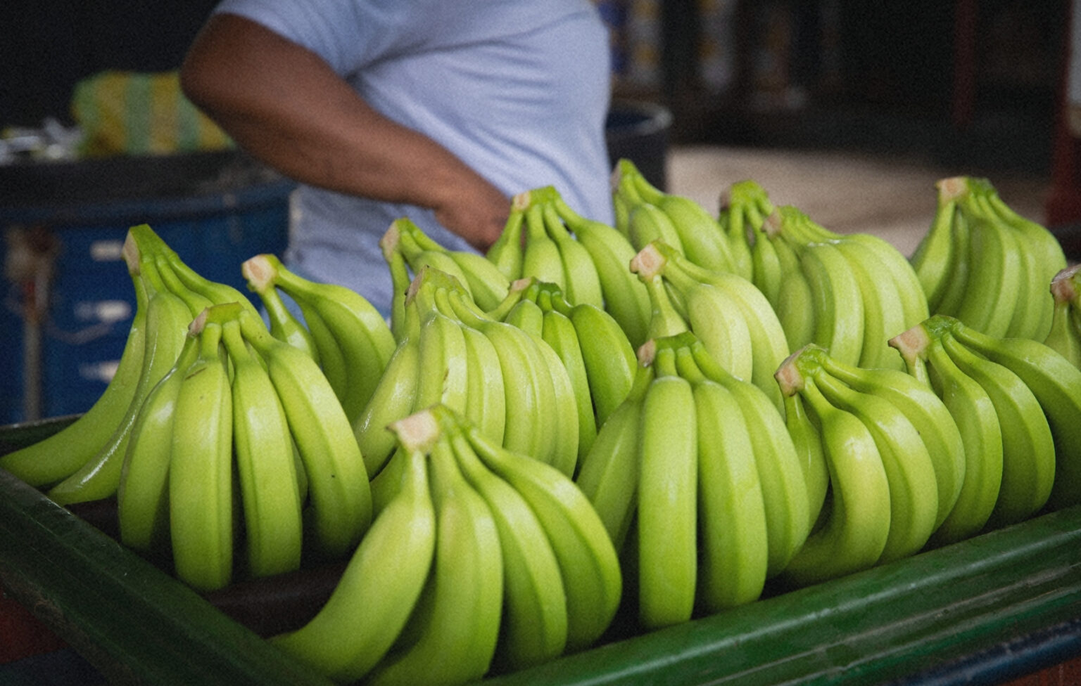 Devoir de vigilance : Compagnie Fruitière