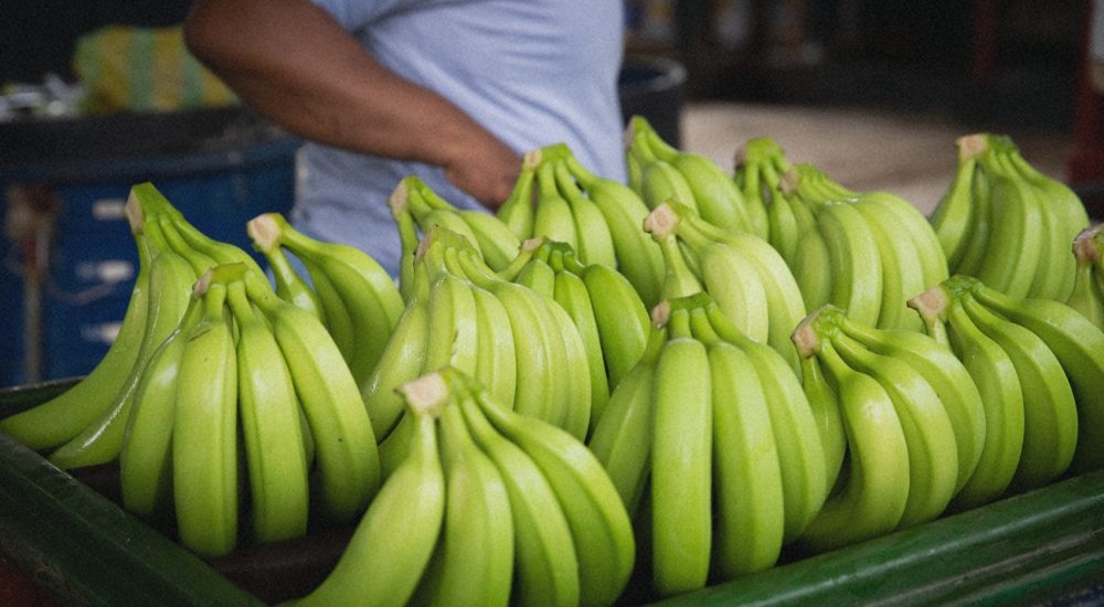 Devoir de vigilance : Compagnie Fruitière