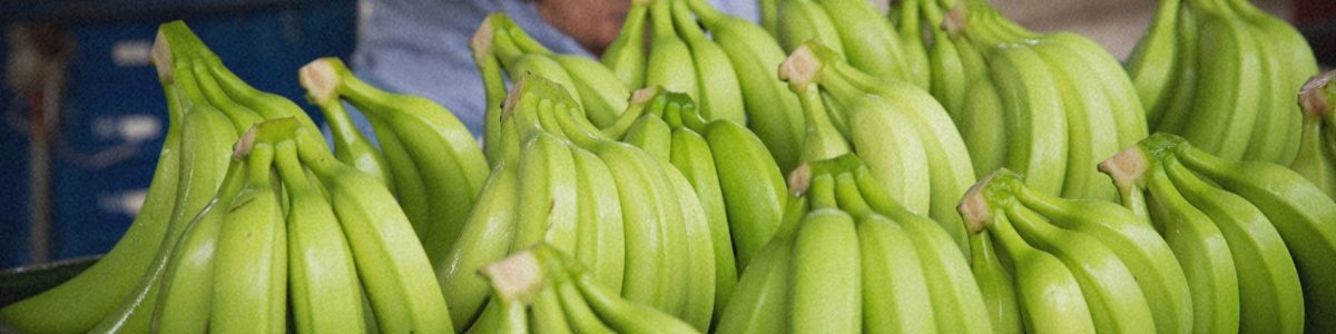 Compagnie fruitière