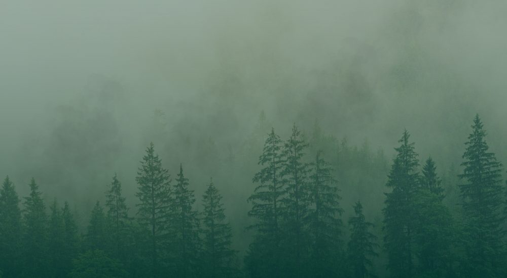 30 organisations attaquent le décret de simplification du droit de l’environnement