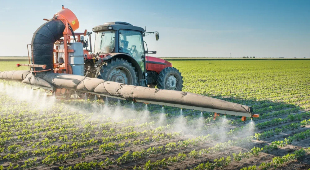 Néonicotinoïdes : la Cour de cassation valide notre action en justice contre l’industrie agrochimique