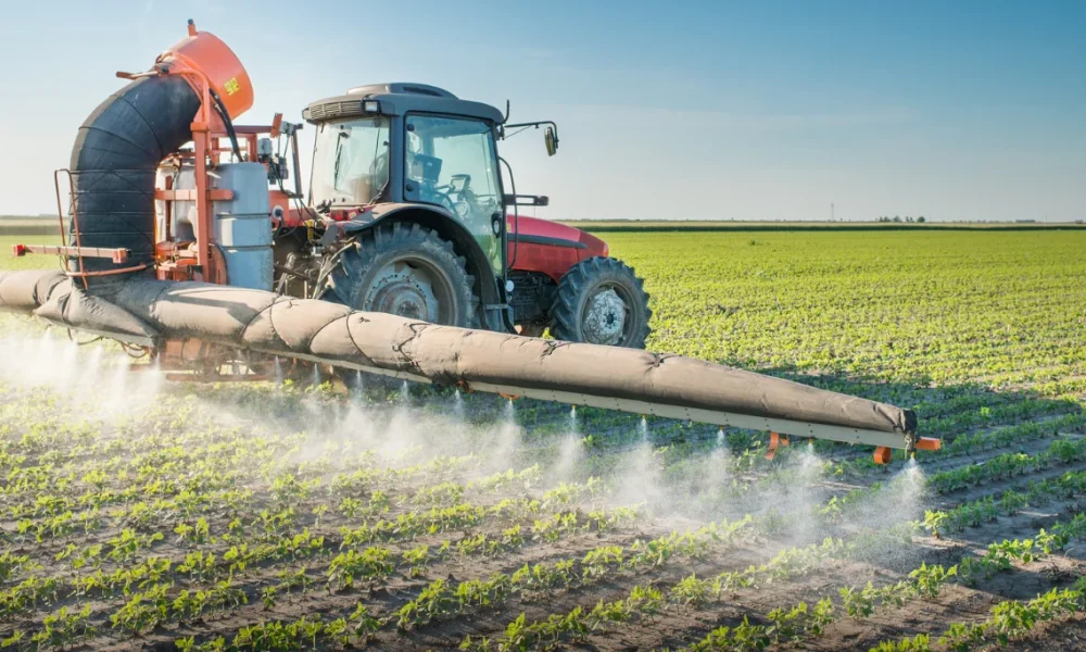 Néonicotinoïdes : la Cour de cassation valide notre action en justice contre l’industrie agrochimique