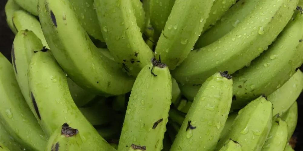 Mise en demeure de la Compagnie Fruitière, un des principaux producteurs et distributeurs de bananes en Europe