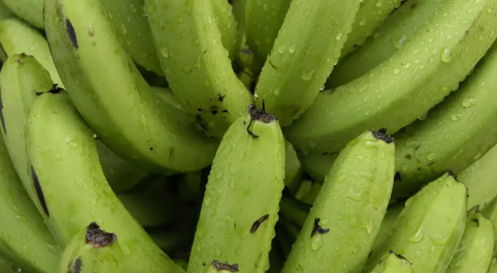 Mise en demeure de la Compagnie Fruitière, un des principaux producteurs et distributeurs de bananes en Europe