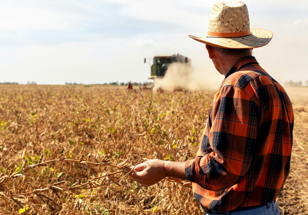 Photo qui représente un paysan dans un champ observant un tracteur.