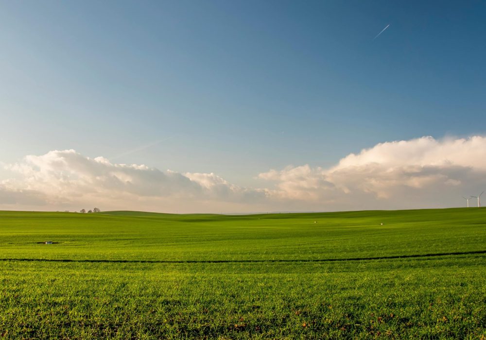 Photographie représentant des collines vertes et un ciel bleu ensoleillé.
